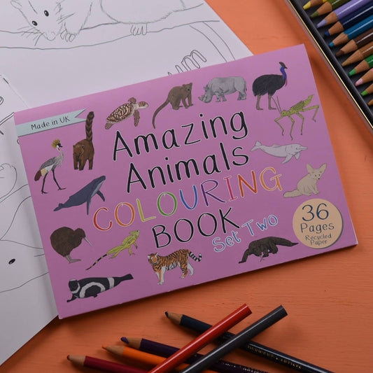 Amazing Animals Set Two Colouring Book