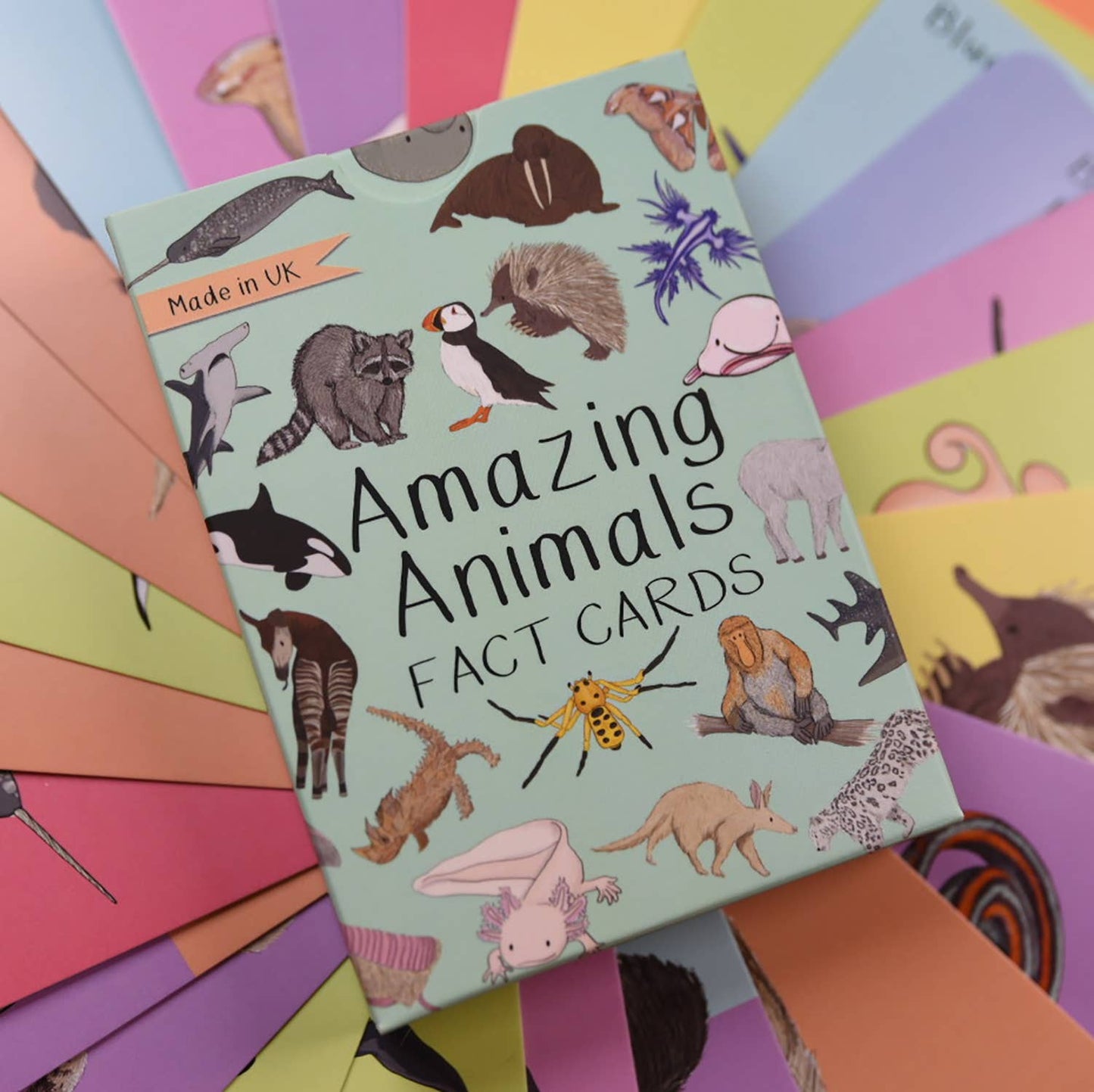 Amazing Animals Fact Cards Set One