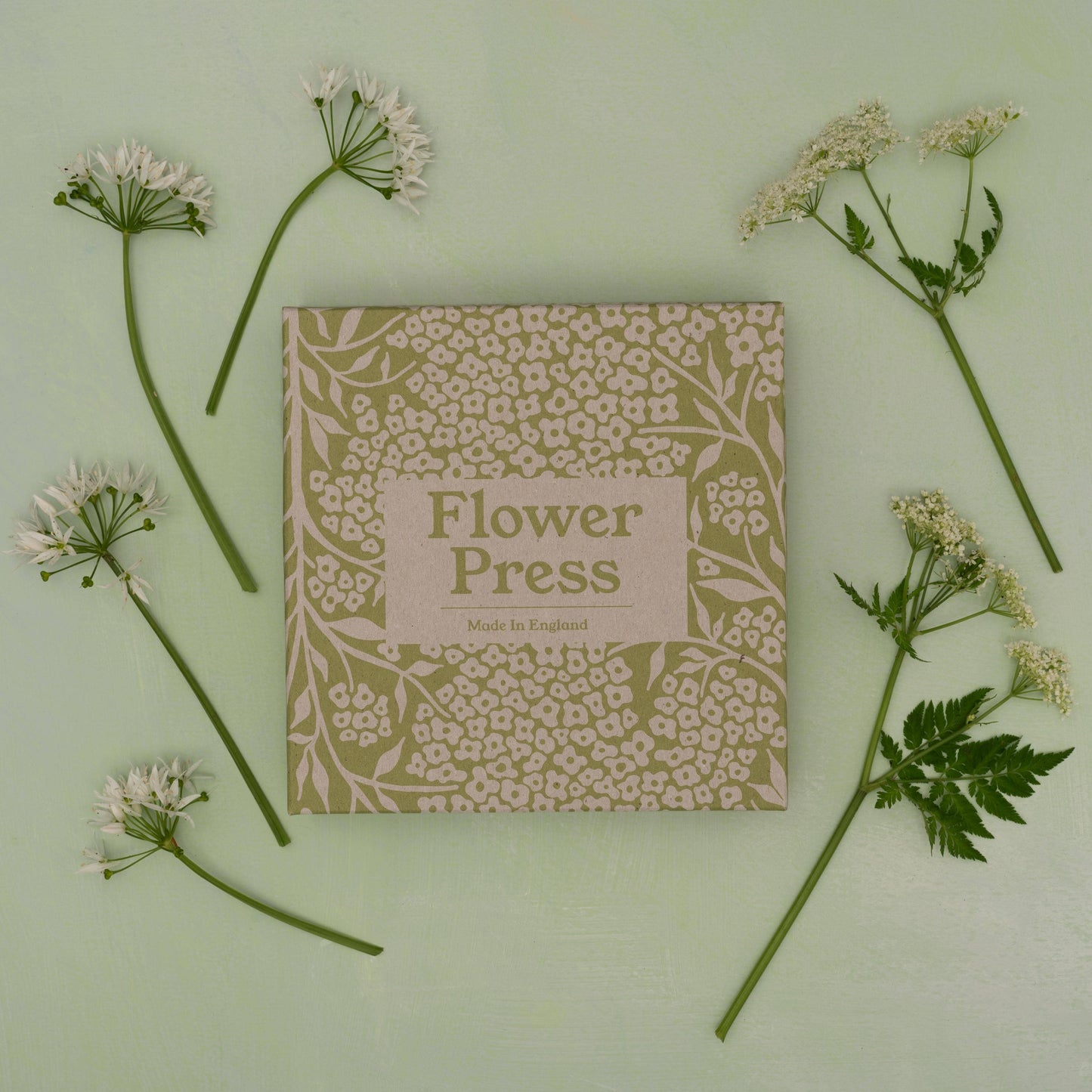 Flower Press | Forget Me Not