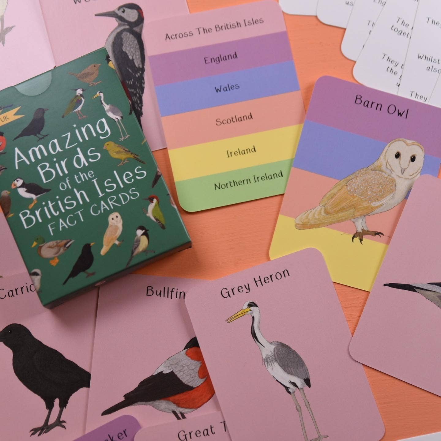 Amazing Birds of the British Isles Fact Cards