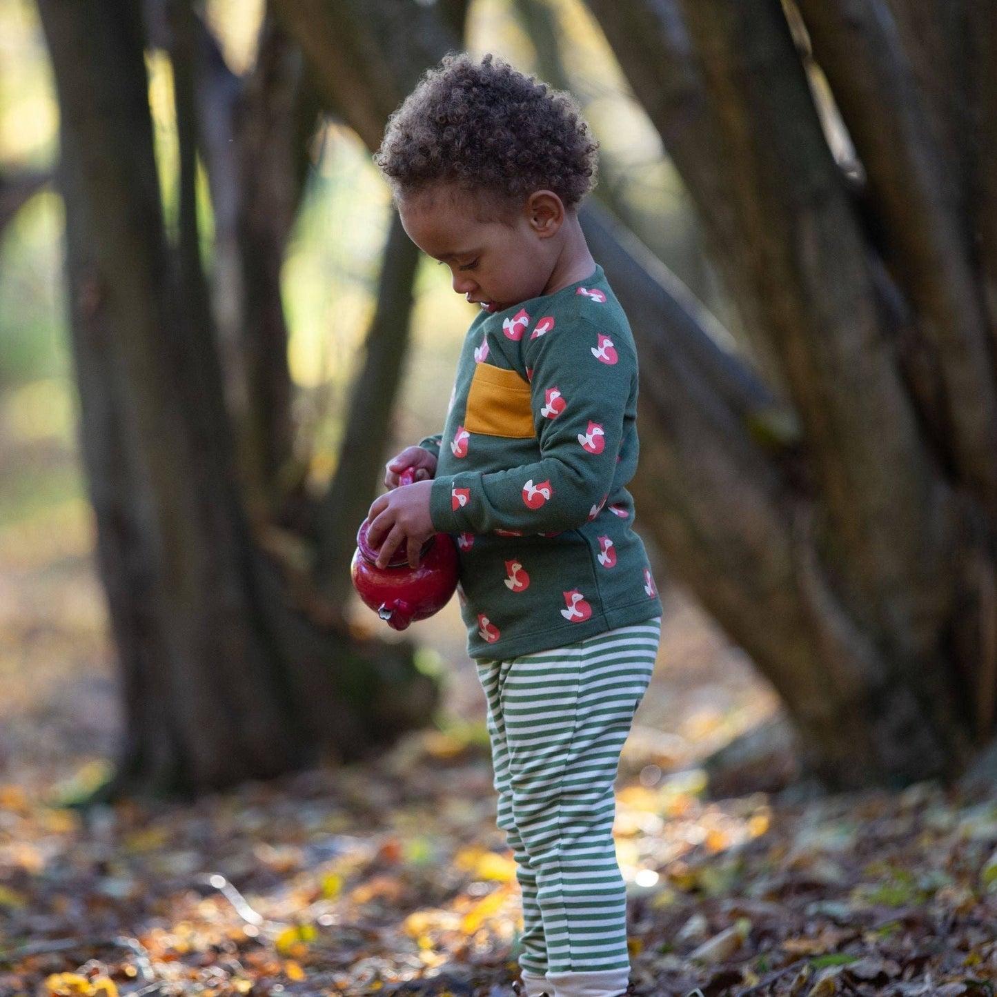 Organic T-Shirt & Jogger Playset | Little Fox