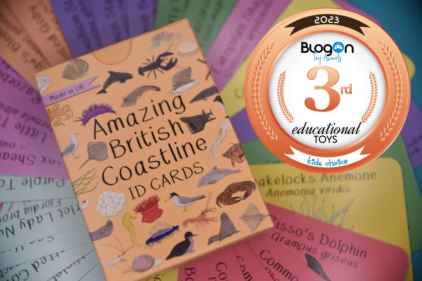 Amazing British Coastline ID Cards