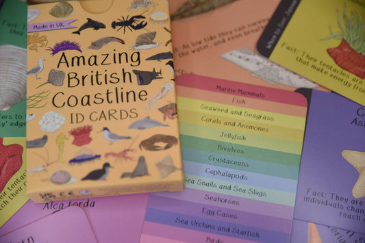 Amazing British Coastline ID Cards