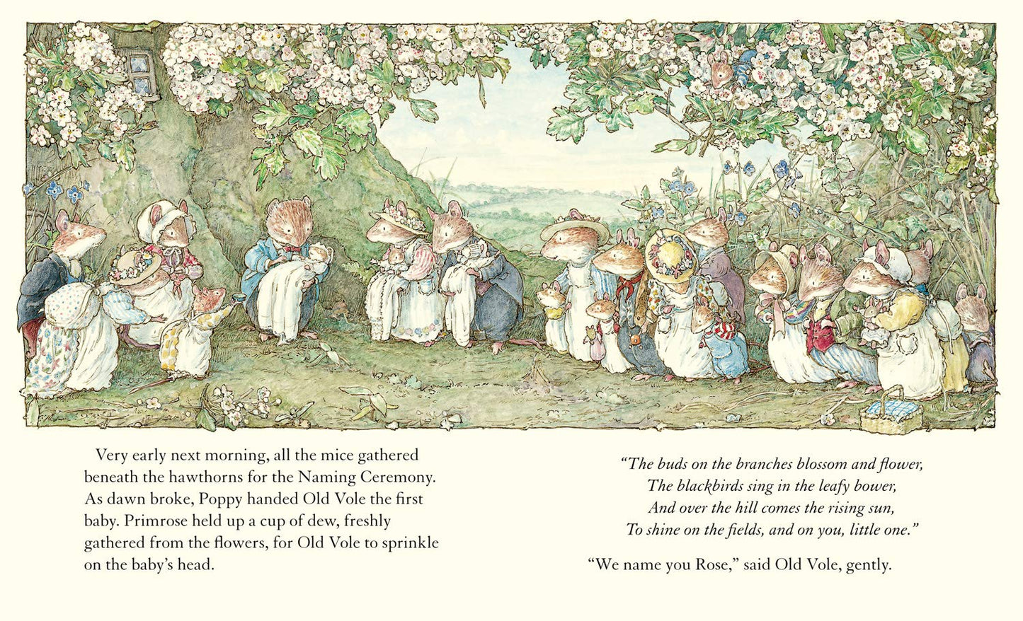 Adventures in Brambly Hedge | Box Set