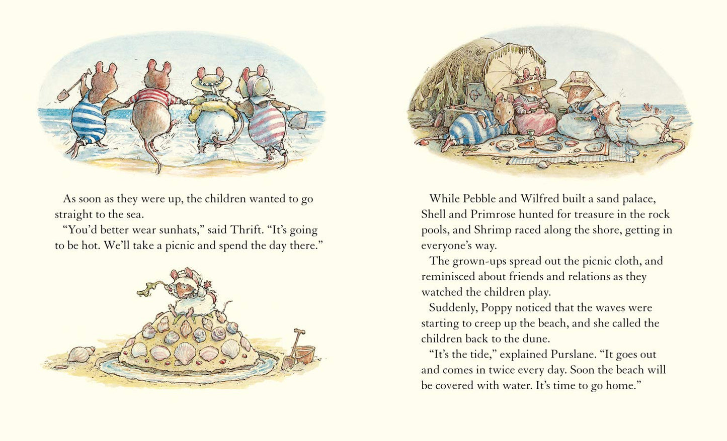 Adventures in Brambly Hedge | Box Set