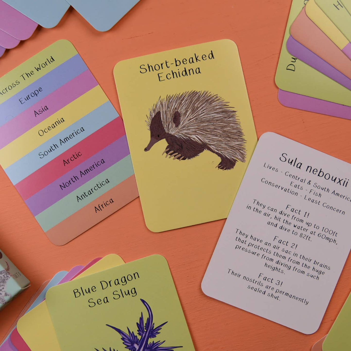 Amazing Animals Fact Cards Set One