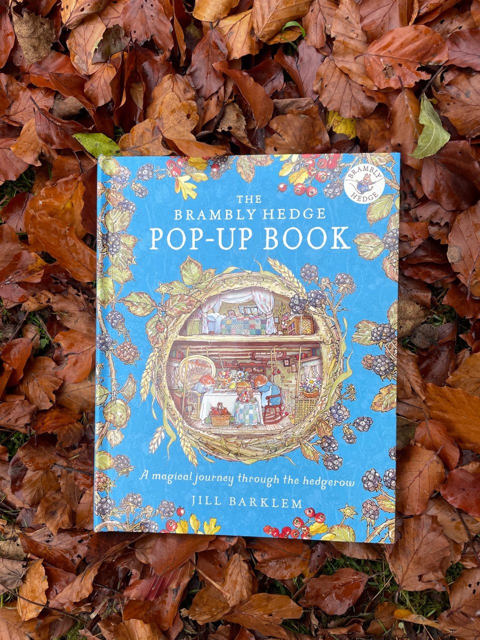 Brambly Hedge Pop Up Book | Jill Barklem