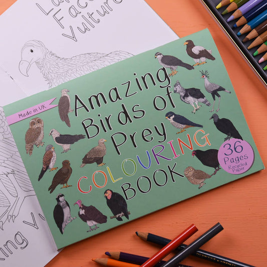 Amazing Birds of Prey Colouring Book