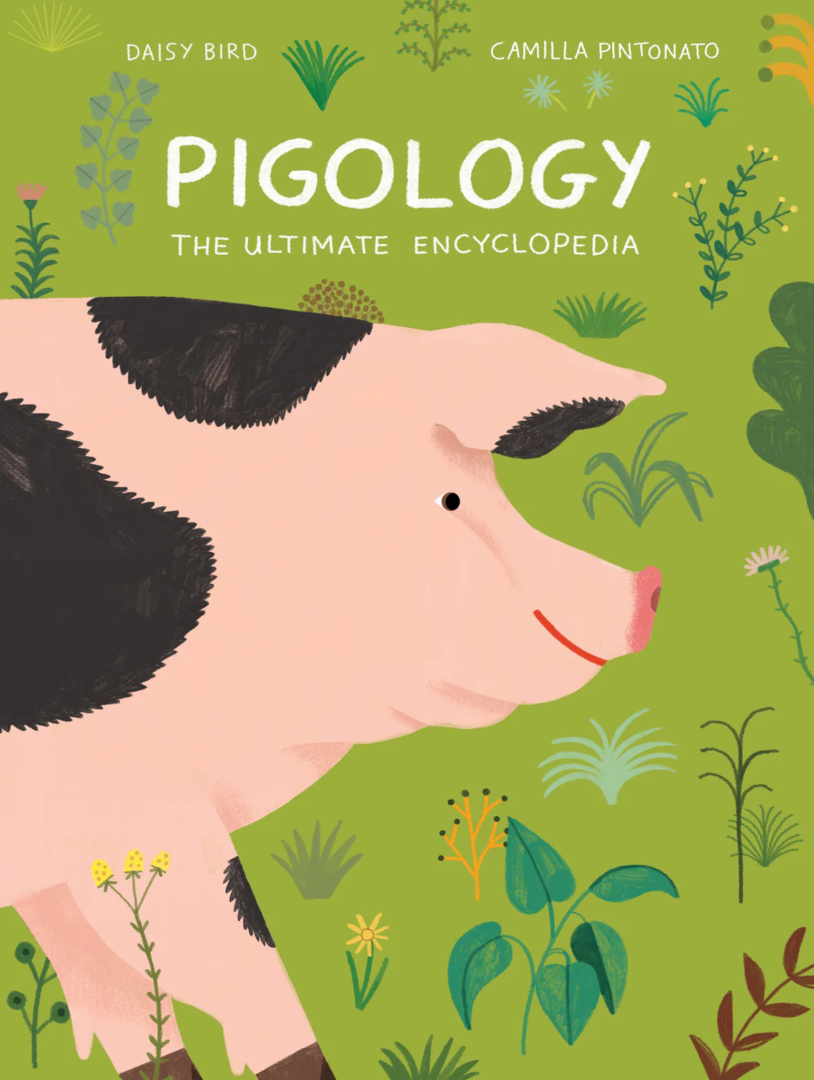 Pigology | Daisy Bird, Camilla Pintonato