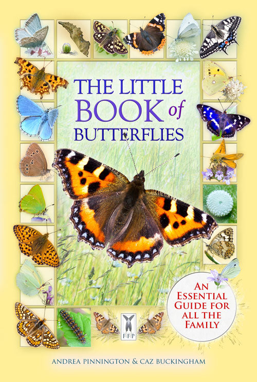 The Little Book of Butterflies | Andrea Pinnington & Caz Buckingham