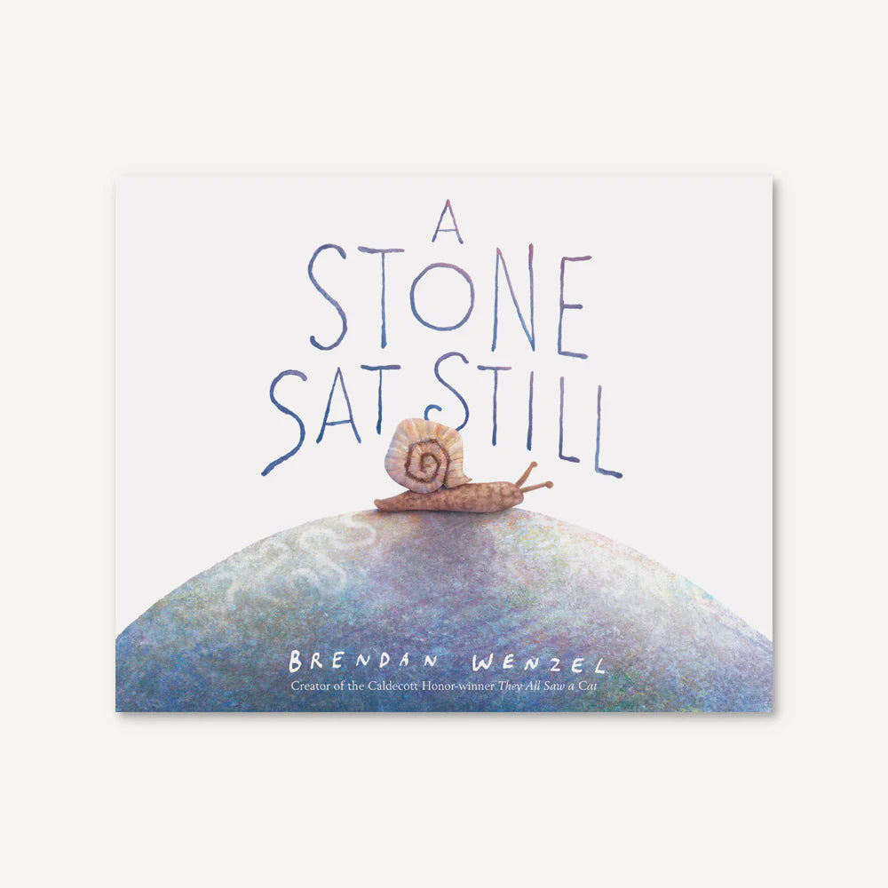 A Stone Sat Still | Brendan Wenzel